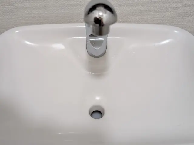 《トイレクリーニング》はお任せ下さい！　経験と知識をいかして迅速に対応致しますサービスの画像