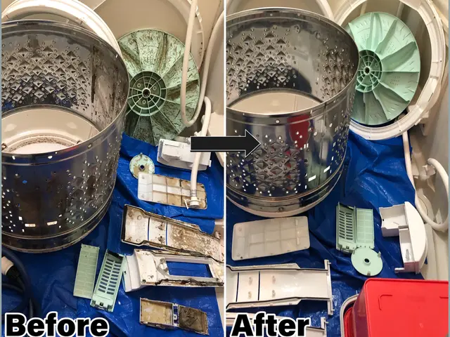 家族健康★洗濯物臭い・カス付着改善★只今サービス中！洗濯パン清掃:排水溝分解清掃サービスの画像