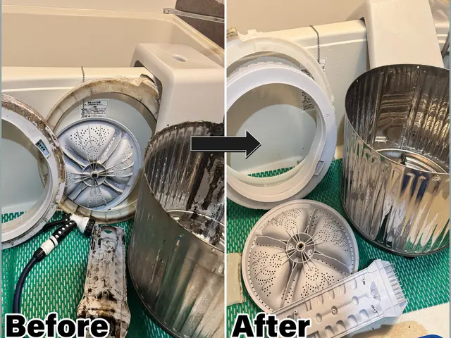 家族健康★洗濯物臭い・カス付着改善★只今サービス中！洗濯パン清掃:排水溝分解清掃サービスの画像