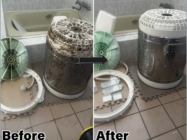 家族健康★洗濯物臭い・カス付着改善★只今サービス中！洗濯パン清掃:排水溝分解清掃サービスの画像