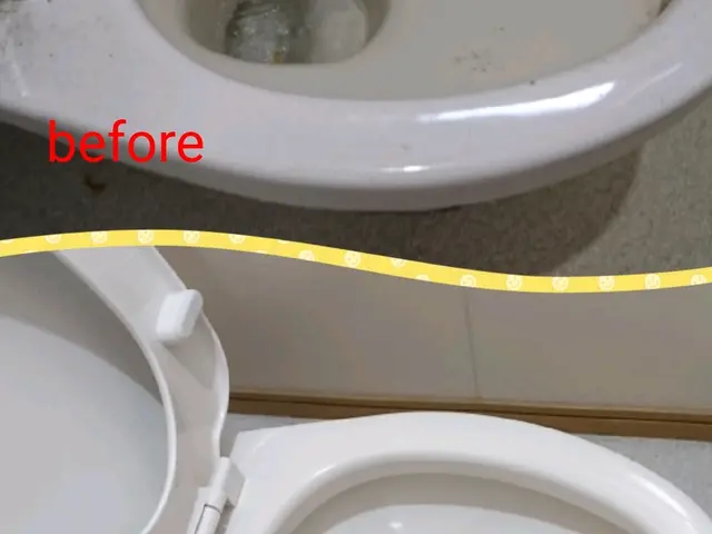 【空家・マンション・アパート等入退去時の空室クリーニング・また別途クロス塗りも】サービスの画像