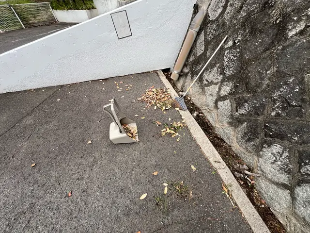 【細部まで心を込めて綺麗にします！】落ち葉の清掃、回収はお任せください！サービスの画像