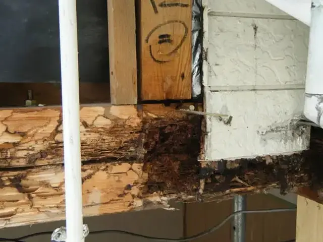 白アリ駆除歴10年以上の有資格者多数在籍【事前見積り無料】【事前調査可能】サービスの画像