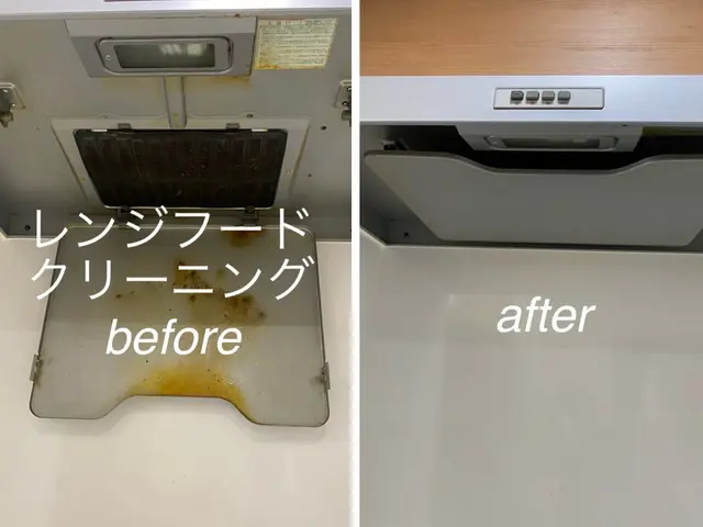 限定特価☆年末の大掃除前に水回りピカピカにします！気になる汚れお任せください！サービスの画像