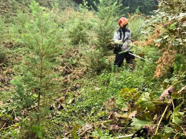 GW前の別荘準備に！草刈り＋敷地チェックで気持ちよくお過ごしいただけます。サービスの画像