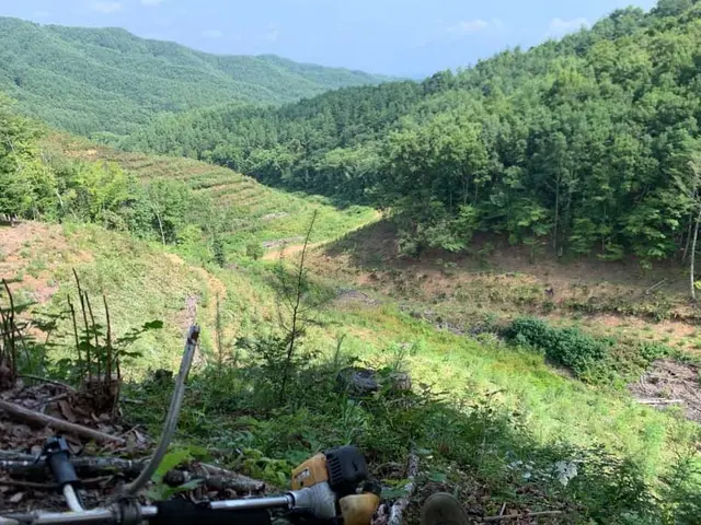 GW前の別荘準備に！草刈り＋敷地チェックで気持ちよくお過ごしいただけます。サービスの画像