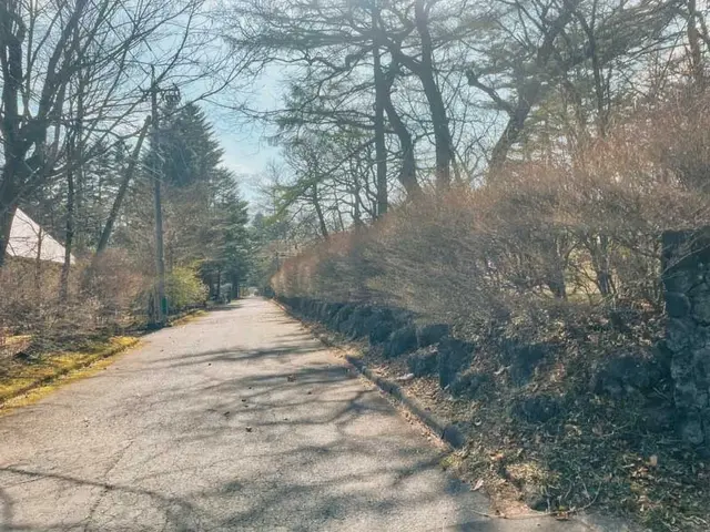 夏の別荘シーズン前に草刈り・剪定◎ご不在でもOK！写真報告付きで安心してお任せサービスの画像