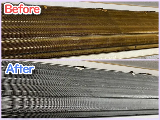 【ワクチン2回摂取済】エコ洗剤使用で安心☆夫婦2名でお伺い♬サービスの画像