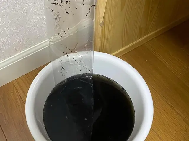 防カビ除菌コート無料！複数台割引！キャンペーン♪サービスの画像