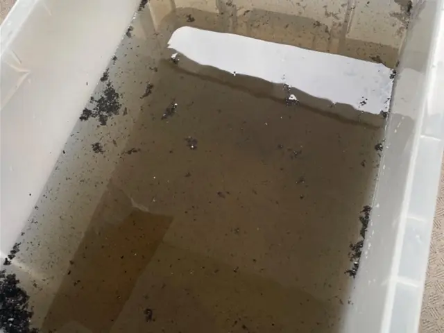 防カビ除菌コート無料！複数台割引！キャンペーン♪サービスの画像