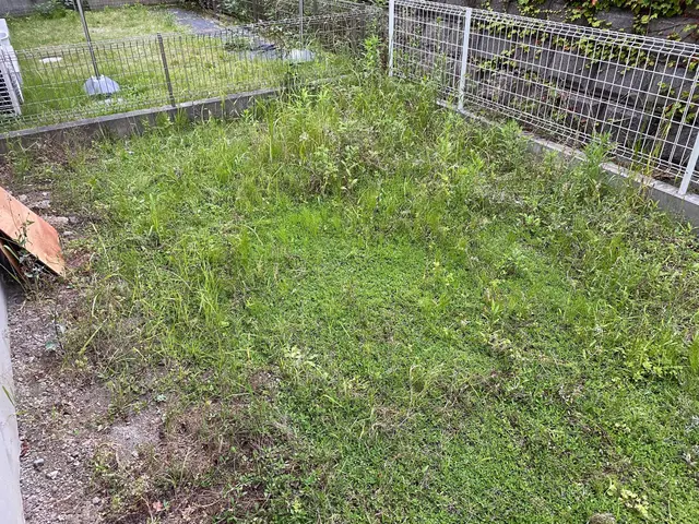 草刈り・芝刈り専門店！草刈りシーズン到来です。私に草刈りをお任せください！サービスの画像