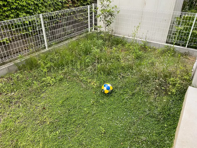 草刈り・芝刈り専門店！草刈りシーズン到来です。私に草刈りをお任せください！サービスの画像