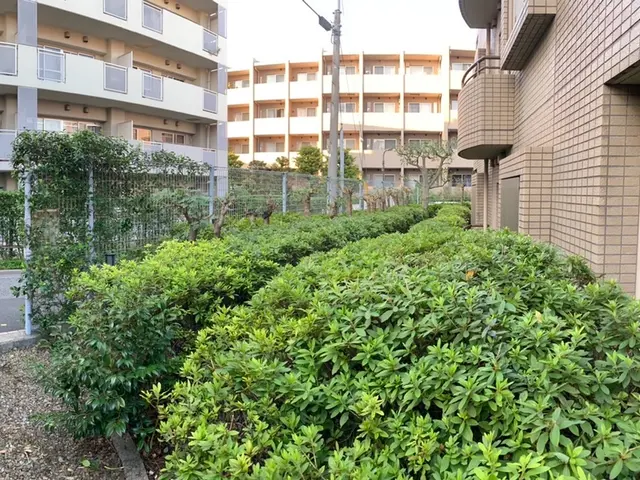 【創業35年】日本庭園の美しさを提案させて頂きます！腕にはかなり自信があります！サービスの画像