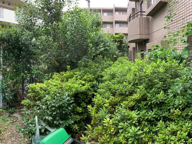 【創業35年】日本庭園の美しさを提案させて頂きます！腕にはかなり自信があります！サービスの画像