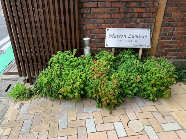 【創業35年】日本庭園の美しさを提案させて頂きます！腕にはかなり自信があります！サービスの画像