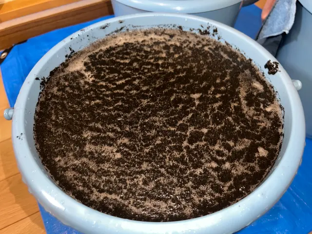 お掃除大好き芸人のやりすぎエアコンクリーニング！ご体感ください！サービスの画像