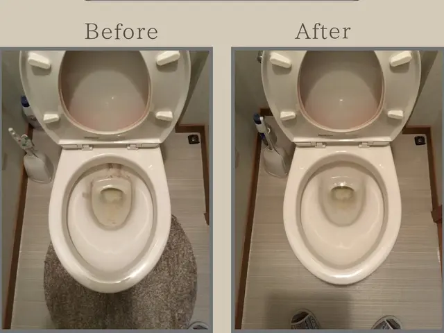 【年末大掃除早割キャンペーン中】キッチン・トイレ・風呂場・換気扇・洗面台掃除サービスの画像