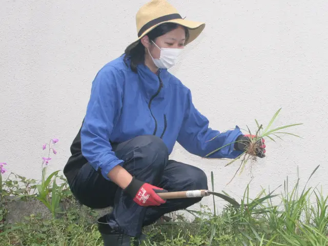 【 定期的なご依頼も相談可 】★女性スタッフ対応★家事全般、お任せください♪サービスの画像