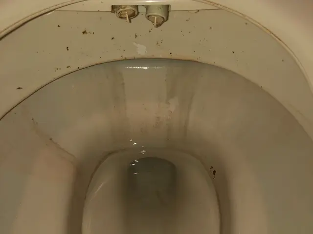 【天然植物エコ洗剤使用】ハウスクリーニング士在籍◎作業外注なし！年中無休◆サービスの画像