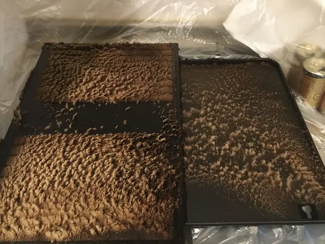 年末大掃除！油汚れをピカピカに！レンジフード換気扇クリーニングサービスの画像