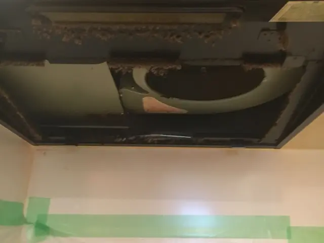 年末大掃除！油汚れをピカピカに！レンジフード換気扇クリーニングサービスの画像