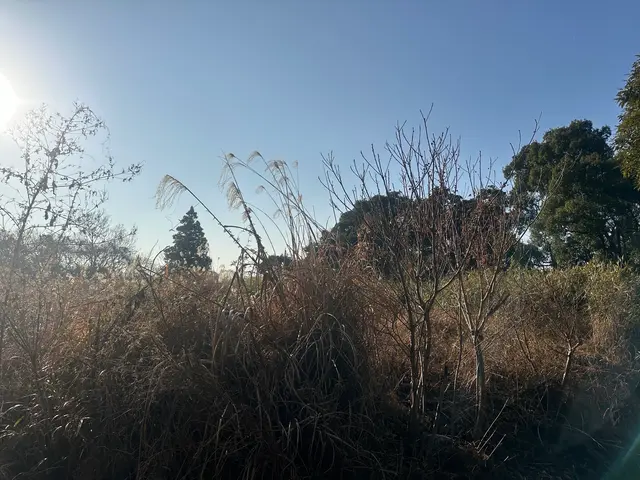 【代表の私が最初から最後まで責任を持って対応いたします！】サービスの画像