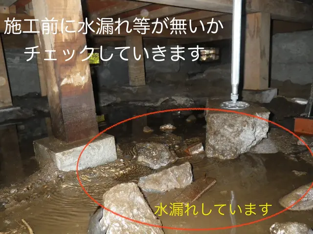 【床下工事専門店】★プロの技術を低価格で★5年保証★防カビ防腐オプション無料★サービスの画像