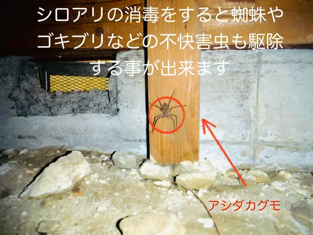 【床下工事専門店】★プロの技術を低価格で★5年保証★防カビ防腐オプション無料★サービスの画像