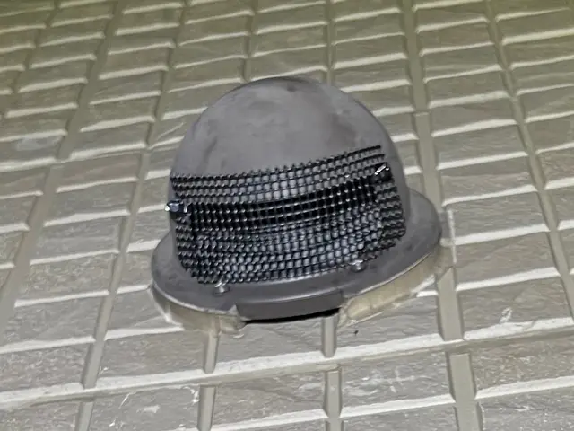 ゴキブリ駆除&時間制ハウスクリーニングサービスの画像