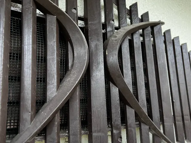 ゴキブリ駆除&時間制ハウスクリーニングサービスの画像