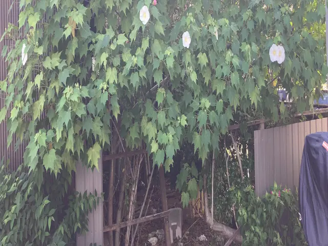 【店長訪問】作業場所不問◎ デザイン重視の方も大歓迎◎サービスの画像