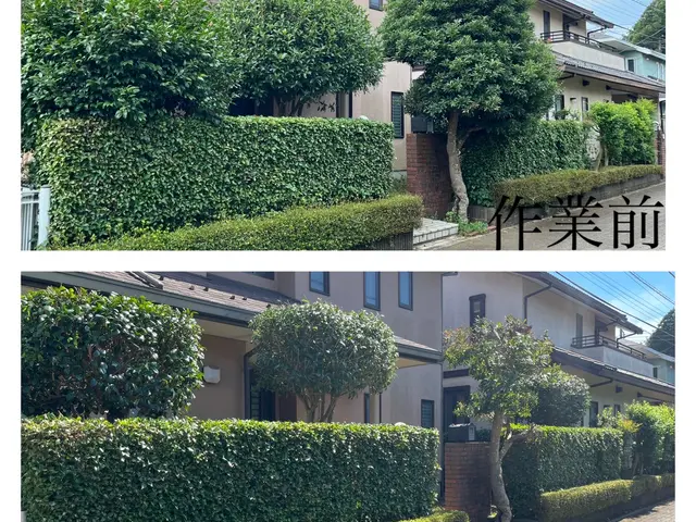 茨城県石岡市発◎剪定、伐採、刈込み作業の事ならお任せください！サービスの画像