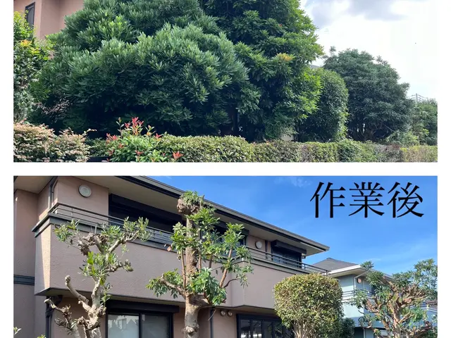 茨城県石岡市発◎剪定、伐採、刈込み作業の事ならお任せください！サービスの画像