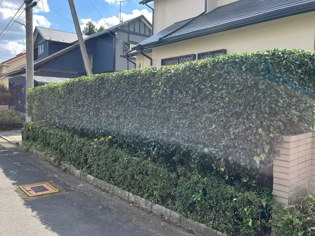 茨城県石岡市発◎剪定、伐採、刈込み作業の事ならお任せください！サービスの画像