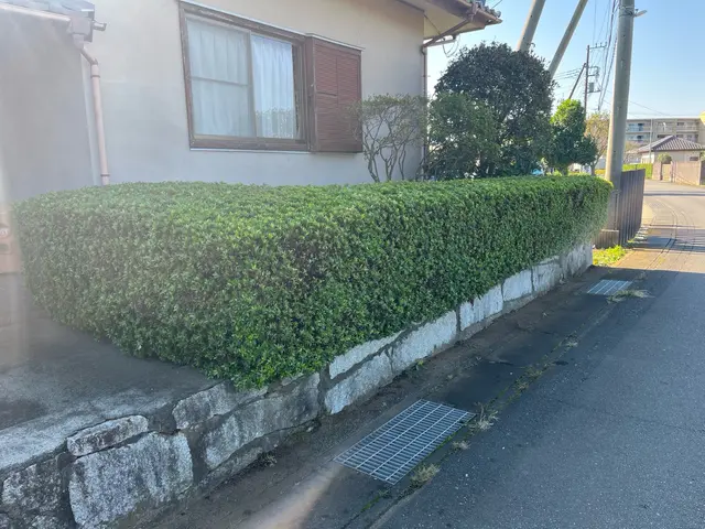 茨城県石岡市発◎剪定、伐採、刈込み作業の事ならお任せください！サービスの画像