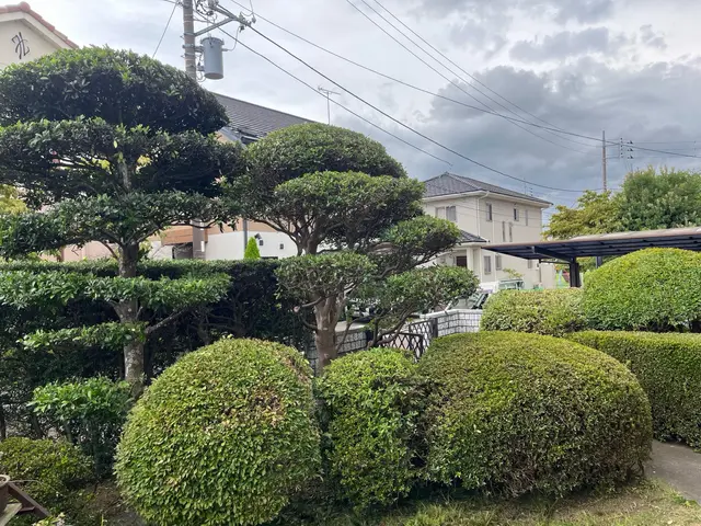 茨城県石岡市発◎剪定、伐採、刈込み作業の事ならお任せください！サービスの画像