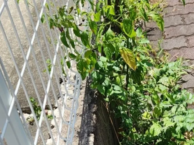 ◎年中無休◎プロの技術でご満足いただけるように心を込めて作業いたしますサービスの画像