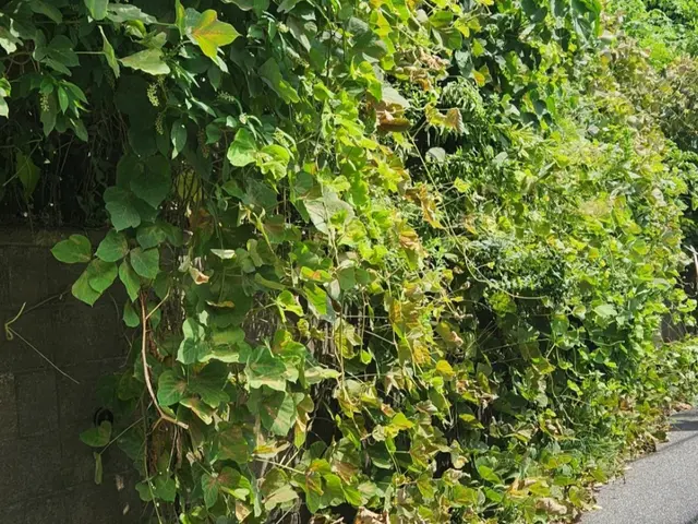 ◎年中無休◎プロの技術でご満足いただけるように心を込めて作業いたしますサービスの画像