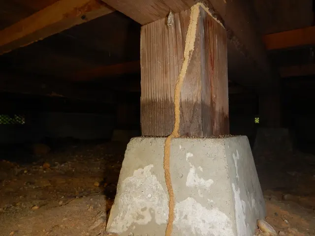 大手と同じ施工でお得なプランです★5年保証付サービスの画像