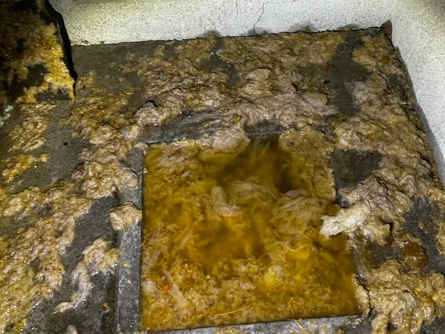 お客様のお力になります！paypay、クレカ対応サービスの画像