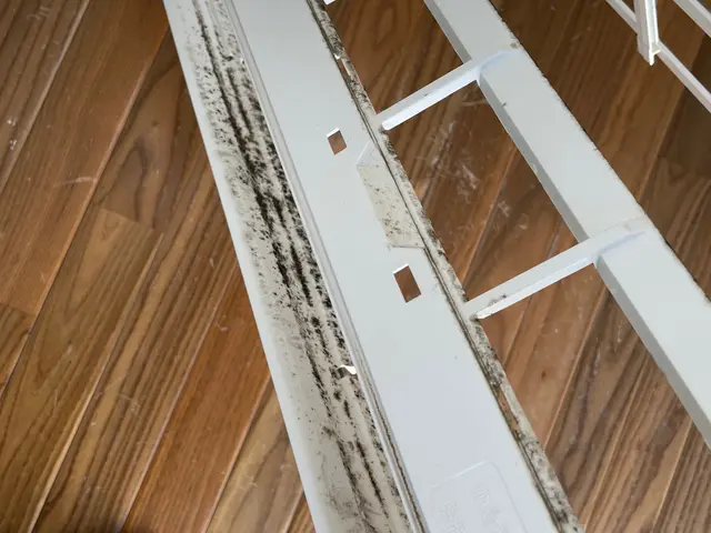 【4月～7月限定】大好評！！撥水&防カビコーティング付き☆安心安全丁寧な会社ですサービスの画像