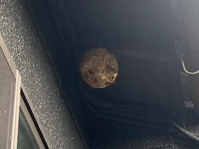 プロの技術でご満足いただけるように心を込めて作業いたしますサービスの画像