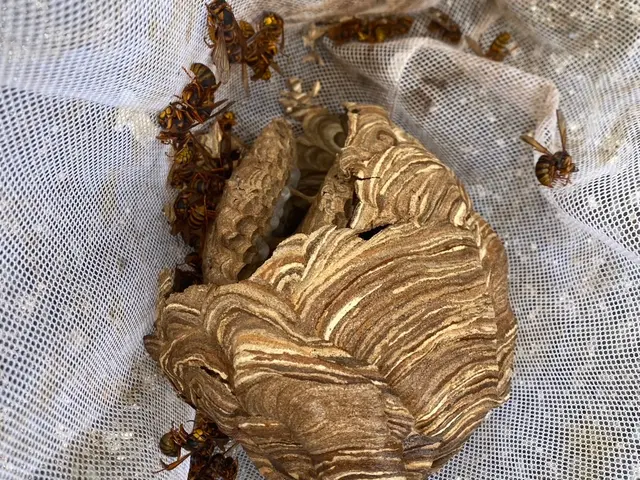 プロの技術でご満足いただけるように心を込めて作業いたしますサービスの画像