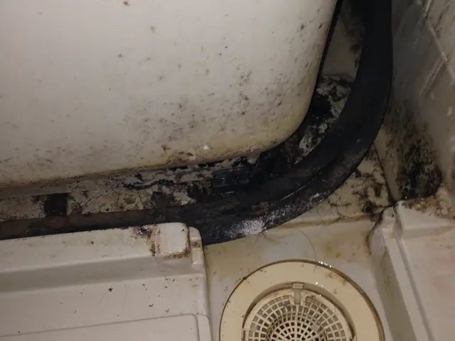 お得感満載のお風呂、換気扇、キッチン、トイレ水回り４点充実セット！サービスの画像