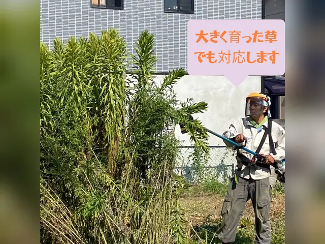 ご好評につき9/6以降の対応となります☆ジャングル状態でも対応☆損害保険加入サービスの画像