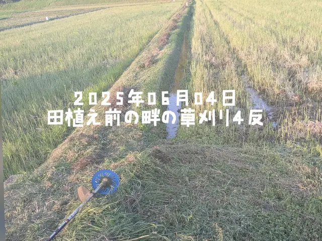 ご好評につき11/24以降の対応となります☆ジャングル状態でも対応☆損害保険加入サービスの画像