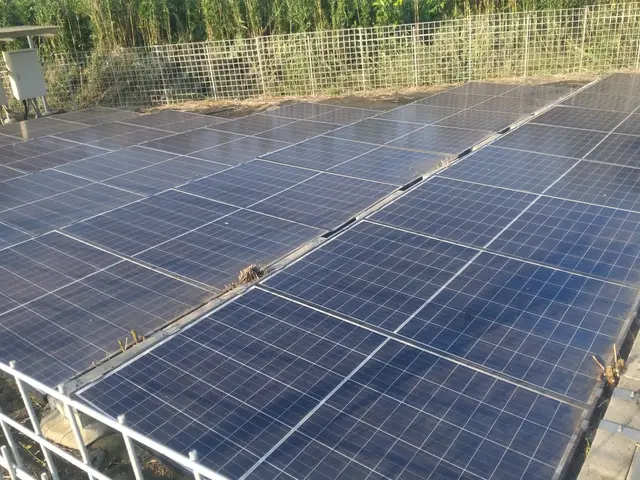 ご好評につき11/24以降の対応となります☆ジャングル状態でも対応☆損害保険加入サービスの画像