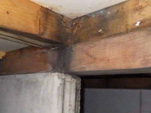 お客様のお力になります！経験と知識を活かして迅速丁寧に作業いたします！サービスの画像