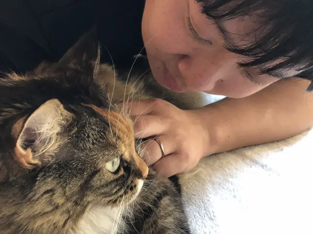 いや～な油汚れ...プロに任せてみませんか？！◎親切・丁寧に対応◎顔が見える安心サービスの画像