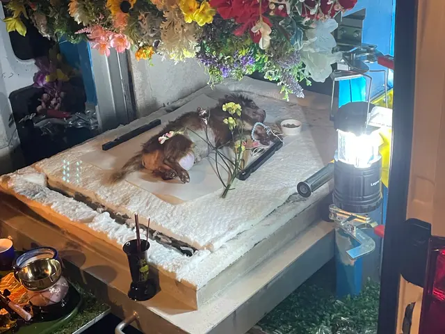 【即日対応可能】お客様の心に寄り添う愛情込めた家族をお見送りサービスの画像